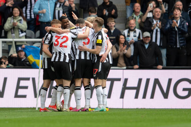 采用了新的 采用了新的